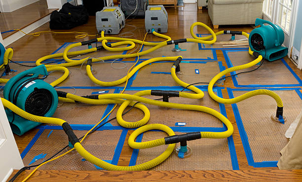 Professional Basement Flood Cleanup technician working in Carthage, NC